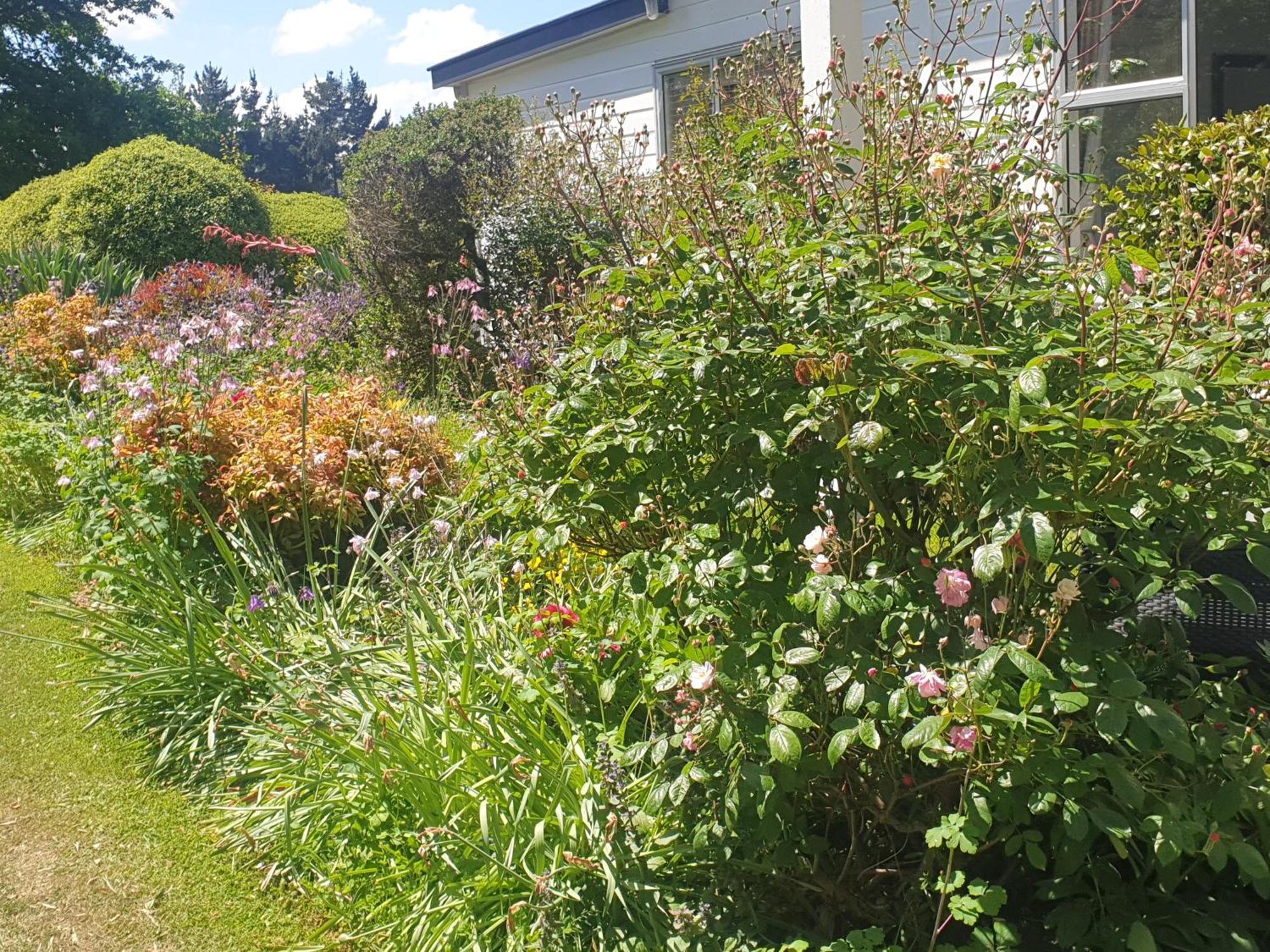 Windhaven Bed & Breakfast Duntroon Екстер'єр фото